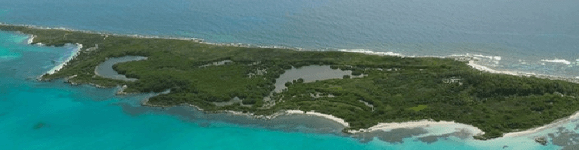 Faranda Dos Playas Cancún Rediseño - Cancun - Do you know the 5 Islands of Quintana Roo? Part 4 Contoy Island