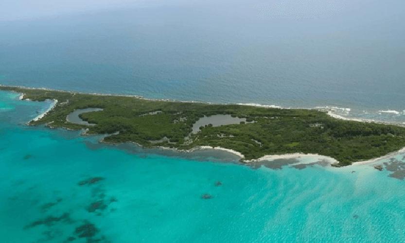 Do you know the 5 Islands of Quintana Roo? Part 4 Contoy Island Hotel Dos Playas Faranda Cancún Cancun Do you know the 5 Islands of Quintana Roo? Part 4 Contoy Island Hotel Dos Playas Faranda Cancún Cancun