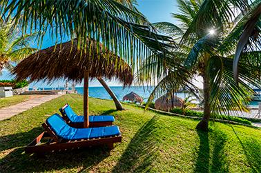 Faranda Dos Playas Cancún Rediseño - Cancun - Everything you need to know about the Right to Environmental Sanitation in Cancun Faranda Dos Playas Cancún Rediseño - Cancun - Everything you need to know about the Right to Environmental Sanitation in Cancun